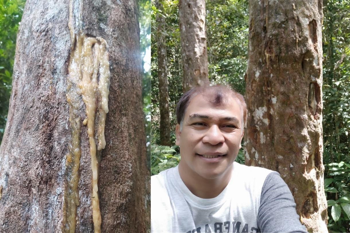 Dosen IPB University Prof Jhonson Lumban Gaol bersama Masyarakat Huta Paung melakukan Pemetaan Batas Pengelolaan Hutan Kemenyan