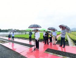 Tinjau Persemaian Rumpin, Presiden: Indonesia Serius Tangani Perubahan Iklim