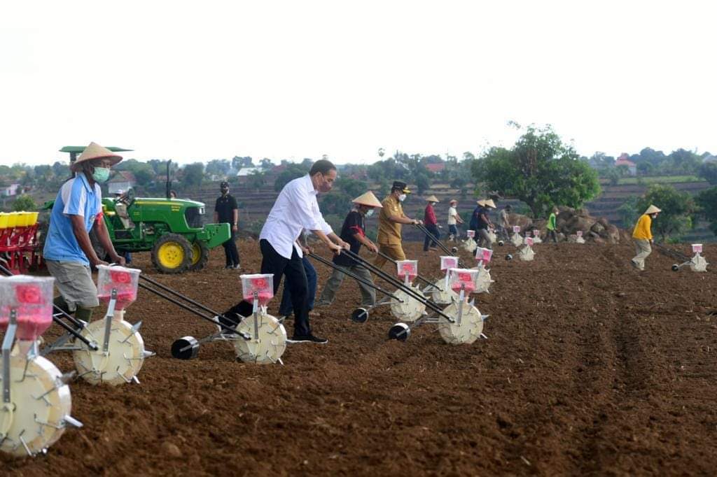 Momen Presiden Jokowi Tanam Jagung Pakai Traktor