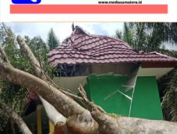 Pohon Tumbang Menimpa Kantor BPP  Rantau Panjang