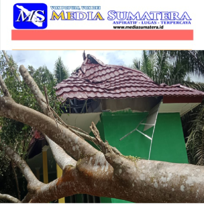 Pohon Tumbang Menimpa Kantor BPP  Rantau Panjang