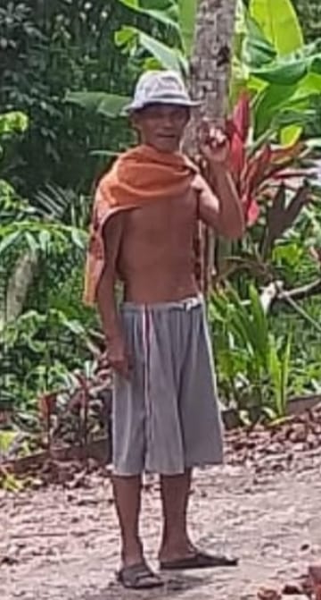 Pohon Tumbang Menimpa Kantor BPP  Rantau Panjang