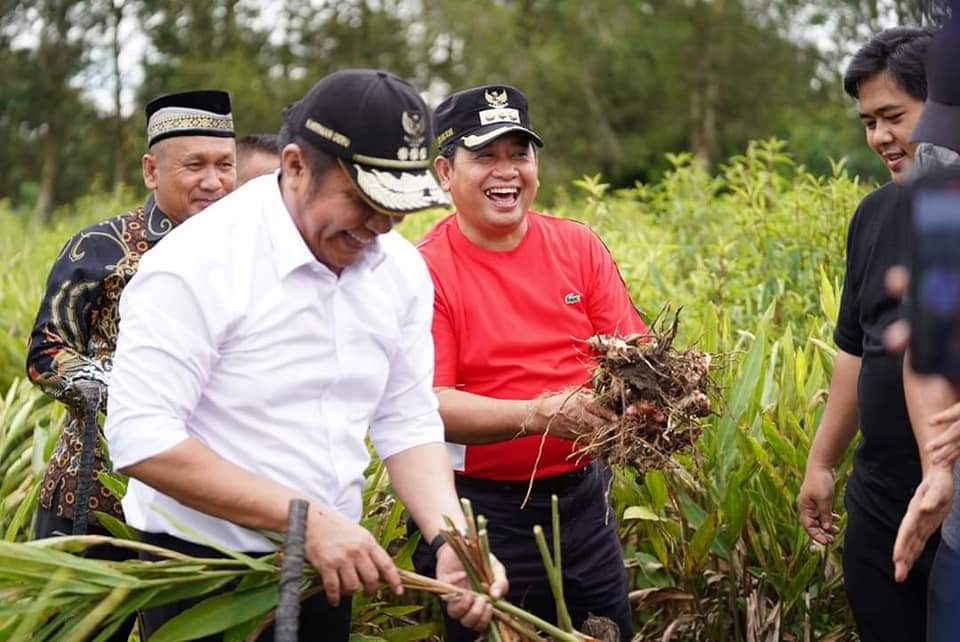 Merah Mata Kampung Laos Banyuasin, Keuntungan Rp 50 Juta Perhektar