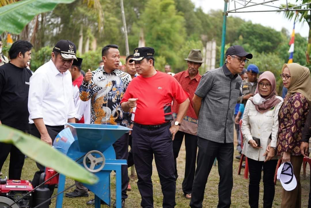 Merah Mata Kampung Laos Banyuasin, Keuntungan Rp 50 Juta Perhektar