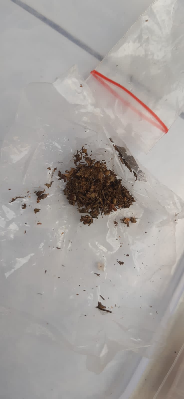 Patroli Gabungan, Unit Reskrim Polsek Percut Sei Tuan Amankan Mesin Judi Dan Narkoba