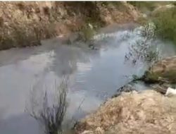 MIRIS…!!! EMBUNG DAN SUNGAI SERTA EKOSISTEM, TERCEMAR OLEH IPAL PT.BAKUNG LESTARI.