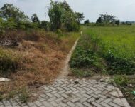 Gawat…Jalan Pribadi Dibangun Pavling Blok Pakai Dana Desa