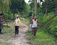 Terkait Rubuhnya Kabel PLN, Konsultan Hukum Lakukan Tindakan Cepat