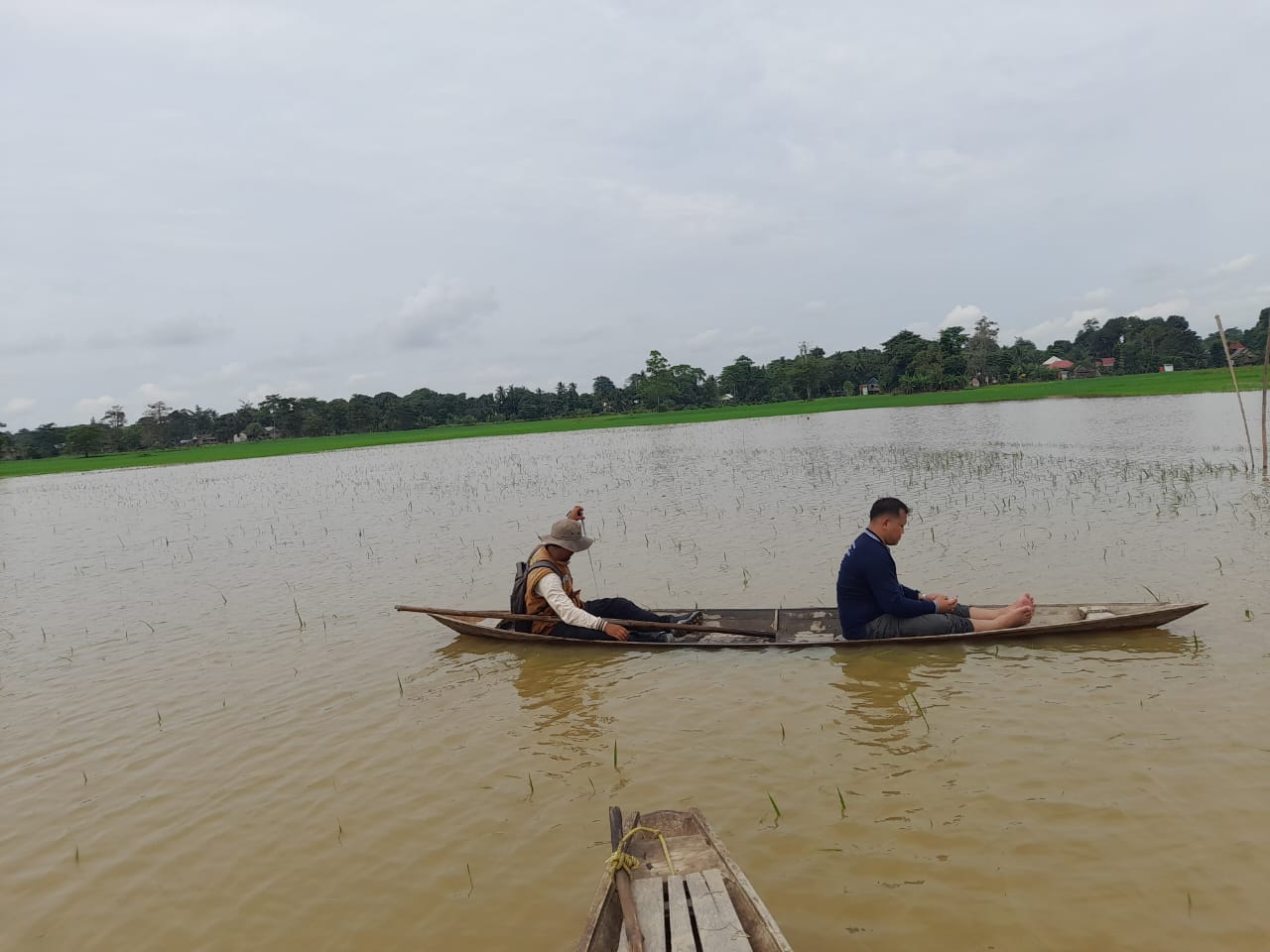 Petani Desa Sungai Rotan Mengeluh Merugi Tanaman padi Tenggelam Karna Sungai Ogan Meluap