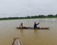 Petani Desa Sungai Rotan Mengeluh Merugi Tanaman padi Tenggelam Karna Sungai Ogan Meluap