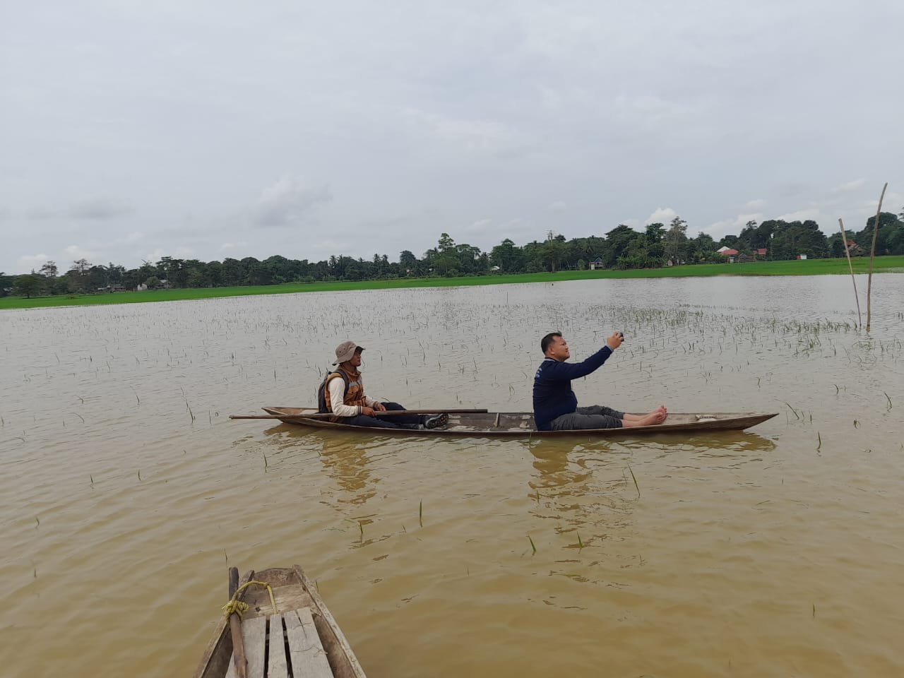 Petani Desa Sungai Rotan Mengeluh Merugi Tanaman padi Tenggelam Karna Sungai Ogan Meluap