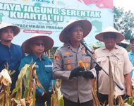 Dukung Swasembada Pangan, Polres Ogan Ilir Gelar Panen Raya Jagung Serentak Kuartal III