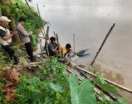 Di Gegerkan Mayat Laki-Laki yang Mengapung Dekat Jerambah Setan Ogan Ilir Diduga Sopir Speedboat yang Tenggelam di OKI