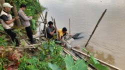 Di Gegerkan Mayat Laki-Laki yang Mengapung Dekat Jerambah Setan Ogan Ilir Diduga Sopir Speedboat yang Tenggelam di OKI