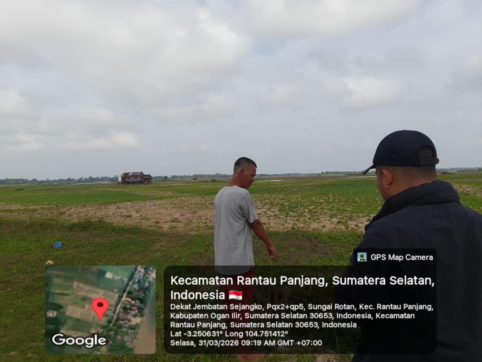 Padahal Dekat Sungai Ogan, 2.556 Hektar Sawah di Rantau Panjang Terancam Gagal Panen
