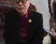 1.100 Hektar Program Cetak Sawah di Ogan Ilir Terancam Gagal