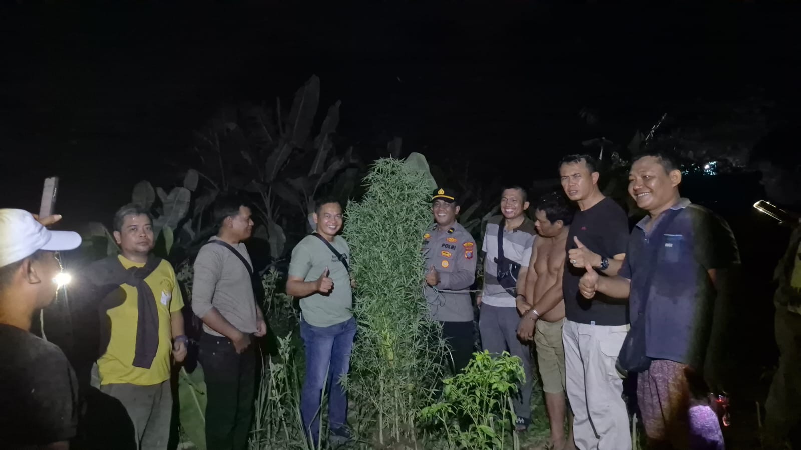 Tanam Ganja, Polsek Tanjung Morawa Amankan Pelaku