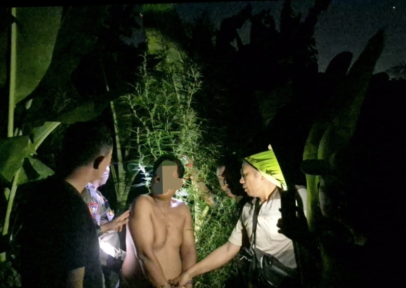Tanam Ganja, Polsek Tanjung Morawa Amankan Pelaku