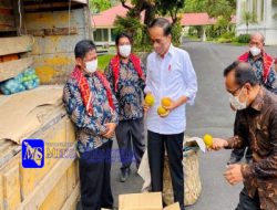 Presiden Jokowi Terima Perwakilan Warga Liang Melas Datas di Istana
