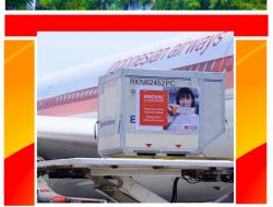 Indonesia Kembali Terima 10 Juta Dosis Bahan Baku Vaksin Sinovac, Guna Percepatan Kekebalan Komunal