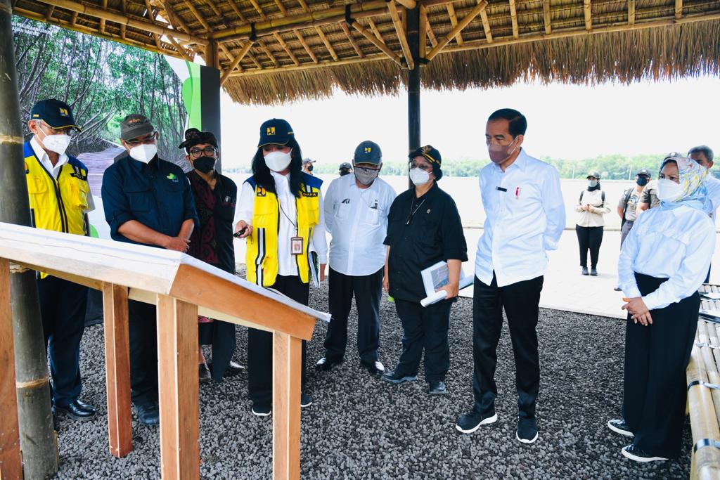 Presiden: Hutan Mangrove Bentuk Komitmen Indonesia dalam Perubahan Iklim