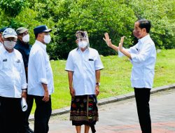 Presiden: Hutan Mangrove Bentuk Komitmen Indonesia dalam Perubahan Iklim