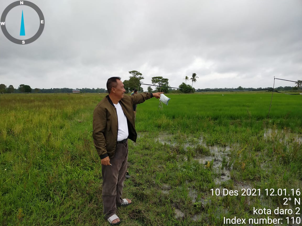 LANGKAH HUKUM SANG ( PAYO BE UME ) INSPIRATOR PERTANIAN OGAN ILIR