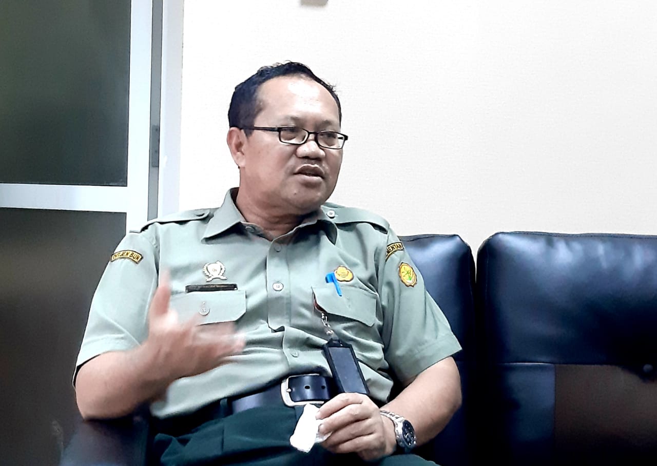 Ditjen Perkebunan Akan Uji DNA Benih PSR