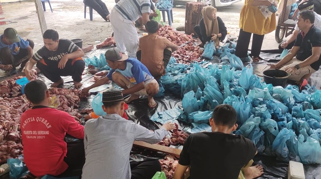 Polresta Deli Serdang Sembelihan 14 Ekor Lembu, 17 Ekor Kambing Qurban