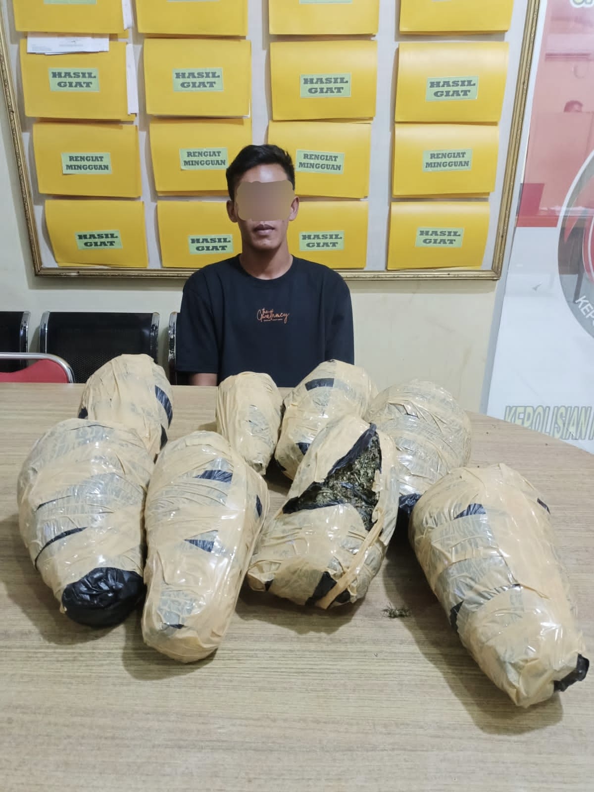 Polresta Deli Serdang Gagalkan 8 Bal Ganja Tujuan Bukit Tinggi