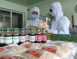 Korea Utara Dorong Pengobatan Tradisional untuk Melawan COVID-19
