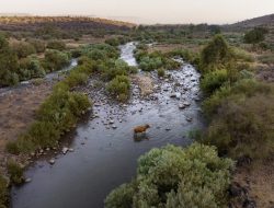 Sungai Yordan, Situs Pembaptisan Yesus, Kini Hampir Tidak Menetes