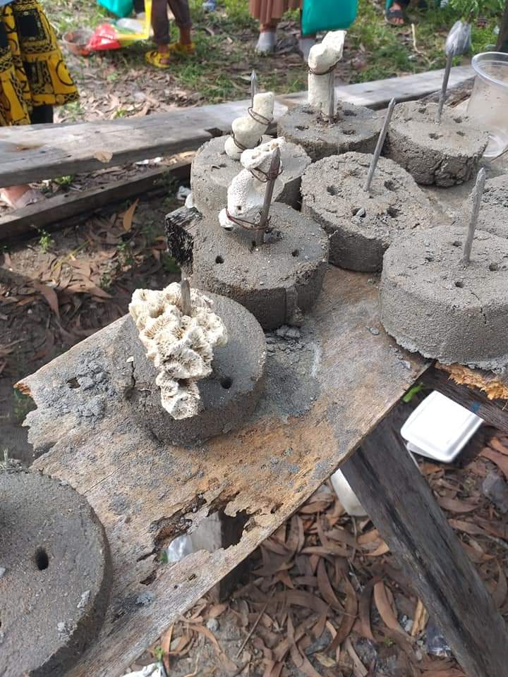 Banyu Biru Foundation bersama Dinas Pariwisata Sumsel Mengadakan Kegiatan Penanaman Terumbukarang di Pulau Mastari