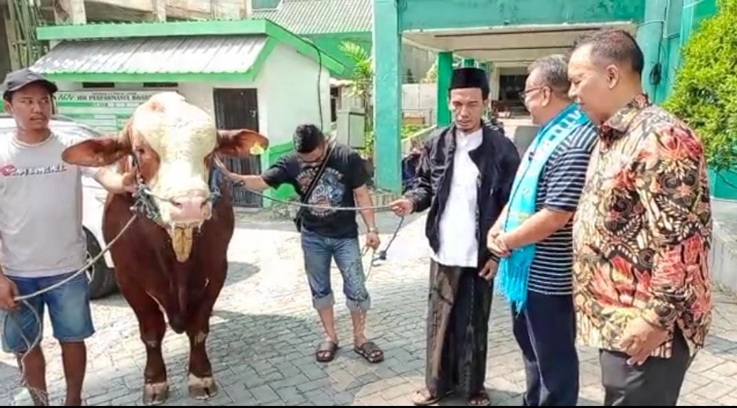 PAN Jatim Serahkan Sapi Seberat 1,2 Ton ke Muhammadiyah dan NU Jatim, Achmad Rubaie: Untuk Mempererat Silaturahmi