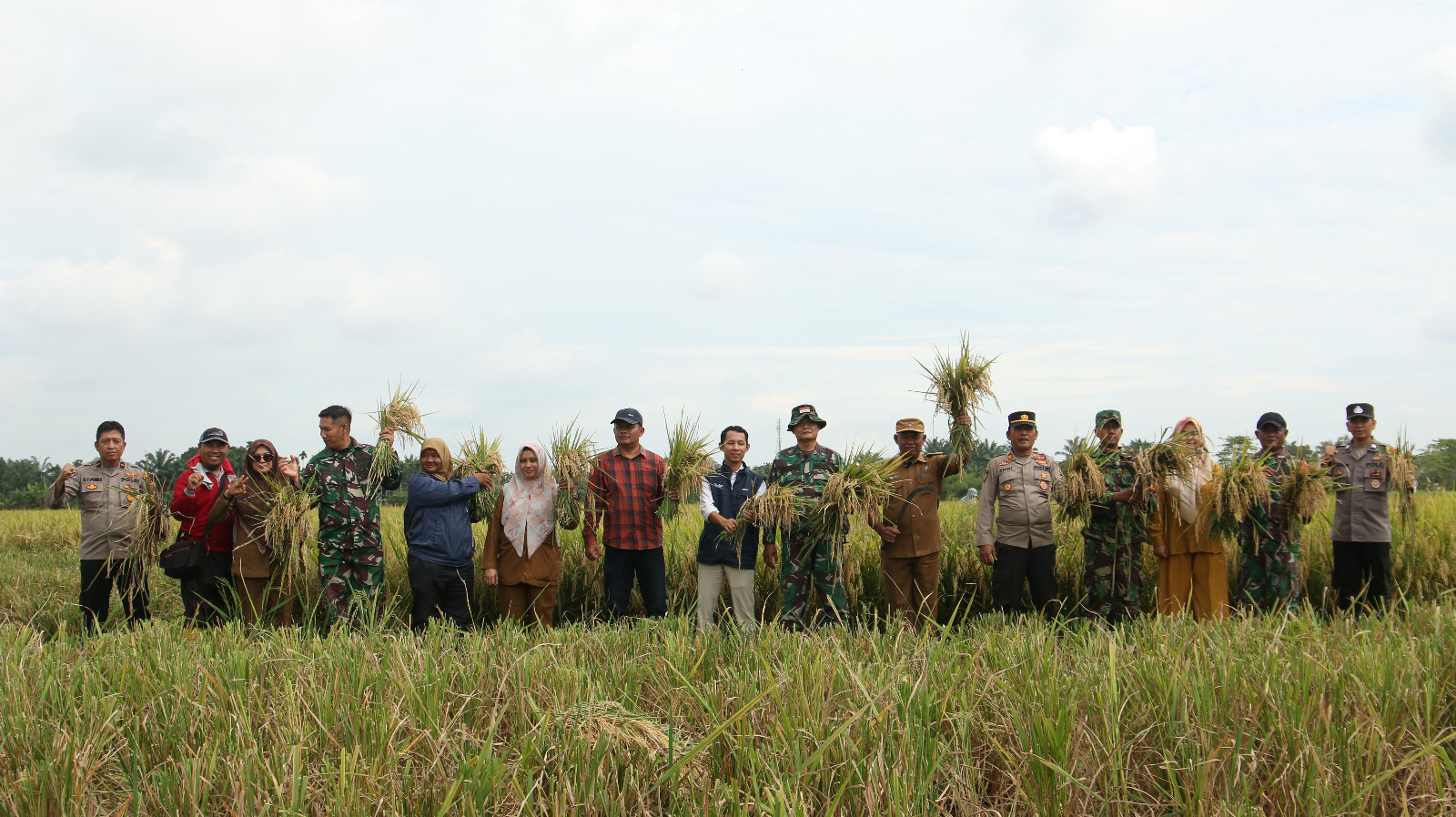 BADAN URUSAN LOGISTIK (BULOG) CABANG MEDAN TERAPKAN HPP GABAH Rp. 6500/Kg DI PANEN RAYA DESA PAYA BAKUNG