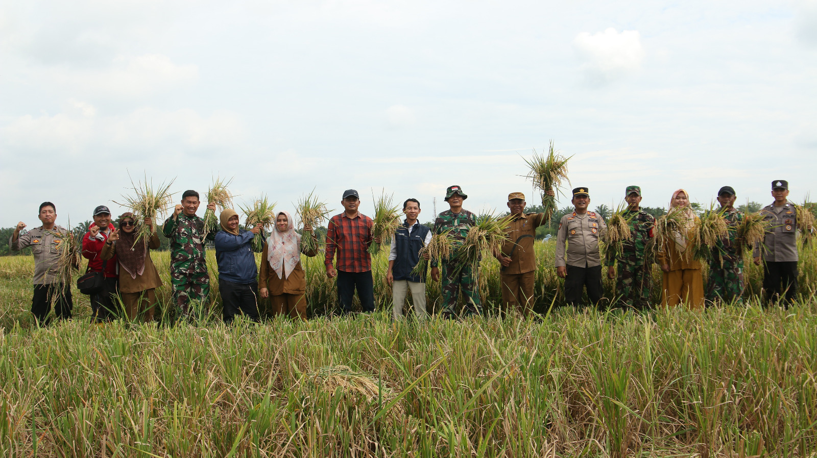 BADAN URUSAN LOGISTIK (BULOG) CABANG MEDAN TERAPKAN HPP GABAH Rp. 6500/Kg DI PANEN RAYA DESA PAYA BAKUNG