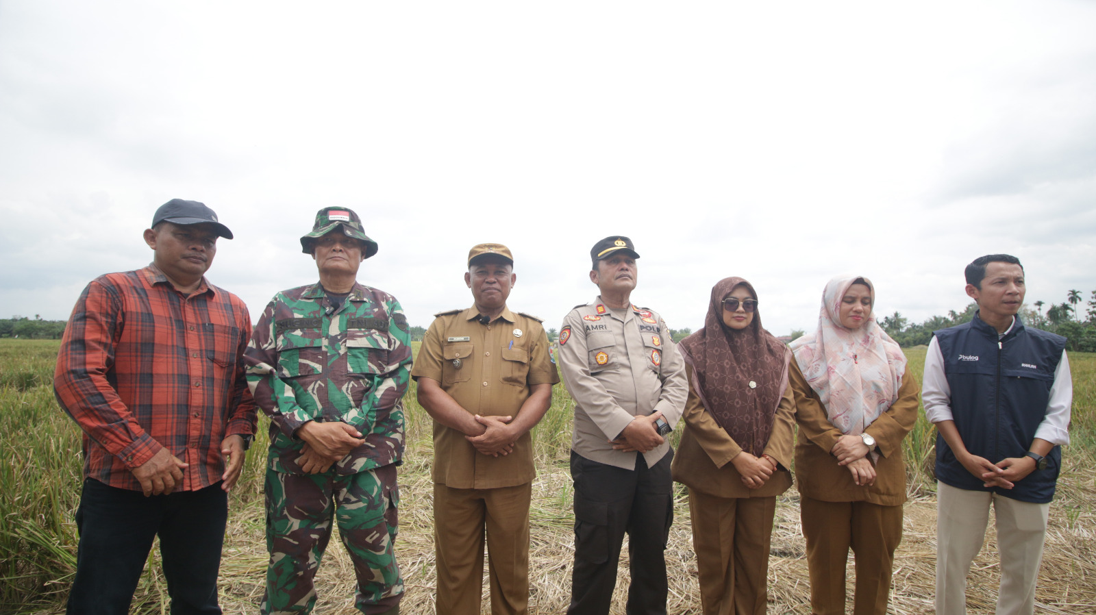 BADAN URUSAN LOGISTIK (BULOG) CABANG MEDAN TERAPKAN HPP GABAH Rp. 6500/Kg DI PANEN RAYA DESA PAYA BAKUNG