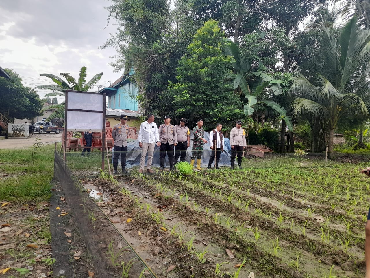 Polsek Tanjung Raja Dukung Ketahanan Pangan, Hadiri Penanaman Jagung Pipil di Desa Kerijing Ogan ilir