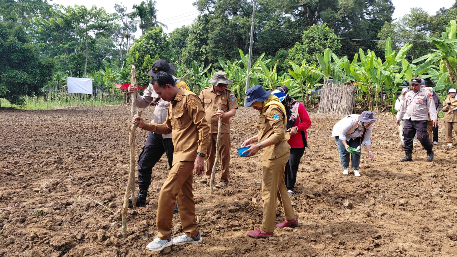 Pemdes Tajung Harapan kecamatan Tanjung Raja Bersama Polsek Tajungraja Melak Sanakan Program Ketahan Pangat Tanam Jagung
