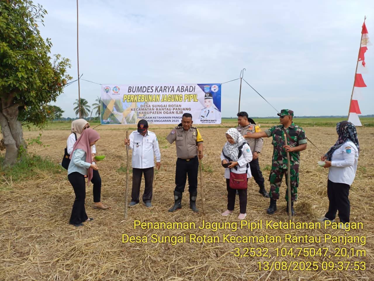 Giat Pemdes Sungairotan kecamatan Rantaupanjang Bersama Polsek Tajungraja Melak Sanakan Program Ketahan Pangat Tanam Jagung