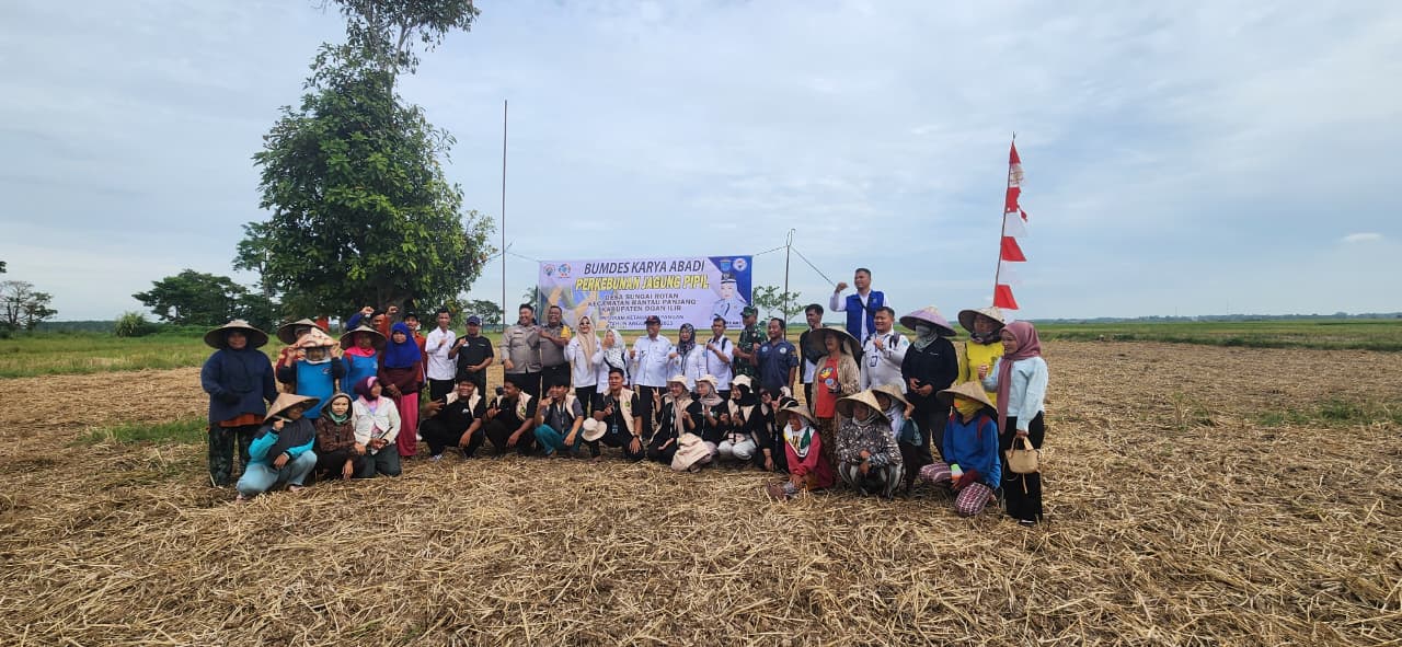 Giat Pemdes Sungairotan kecamatan Rantaupanjang Bersama Polsek Tajungraja Melak Sanakan Program Ketahan Pangat Tanam Jagung