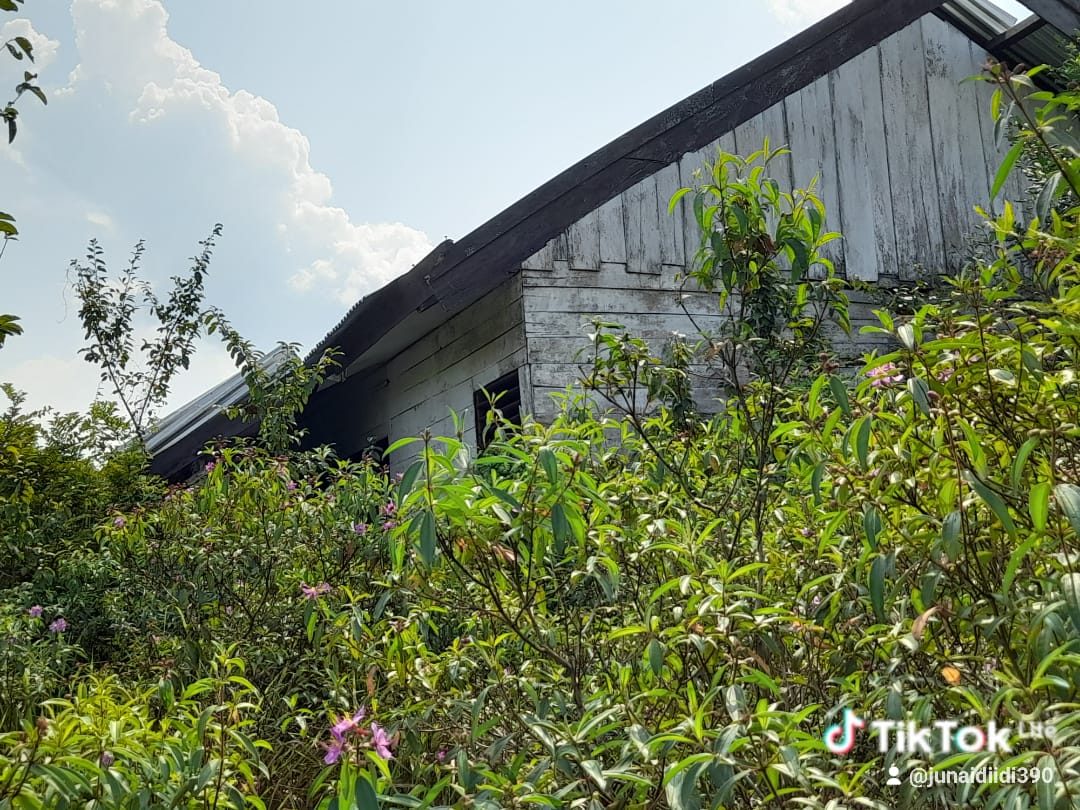 Suasana Dalam HUT RI Kemerdekaan ke 80 UPT Desa Tanah Abang Ilir SP 2 Kecamatan Muara Kuang Gagal