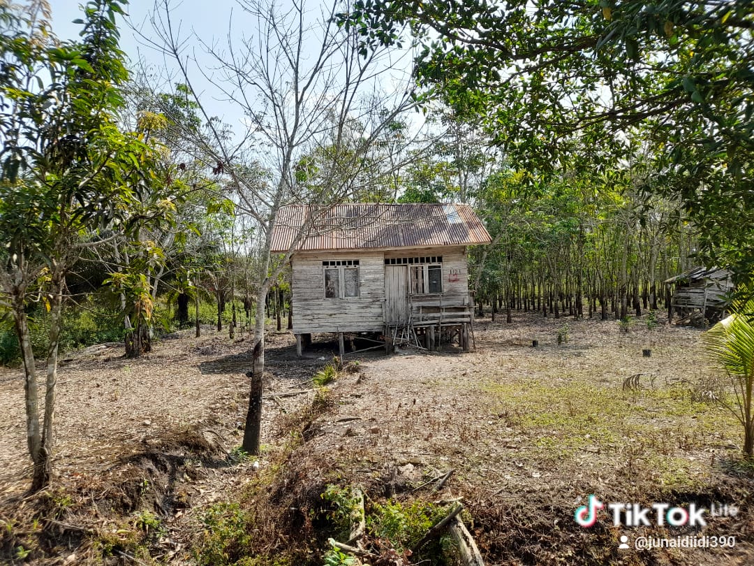 Suasana Dalam HUT RI Kemerdekaan ke 80 UPT Desa Tanah Abang Ilir SP 2 Kecamatan Muara Kuang Gagal