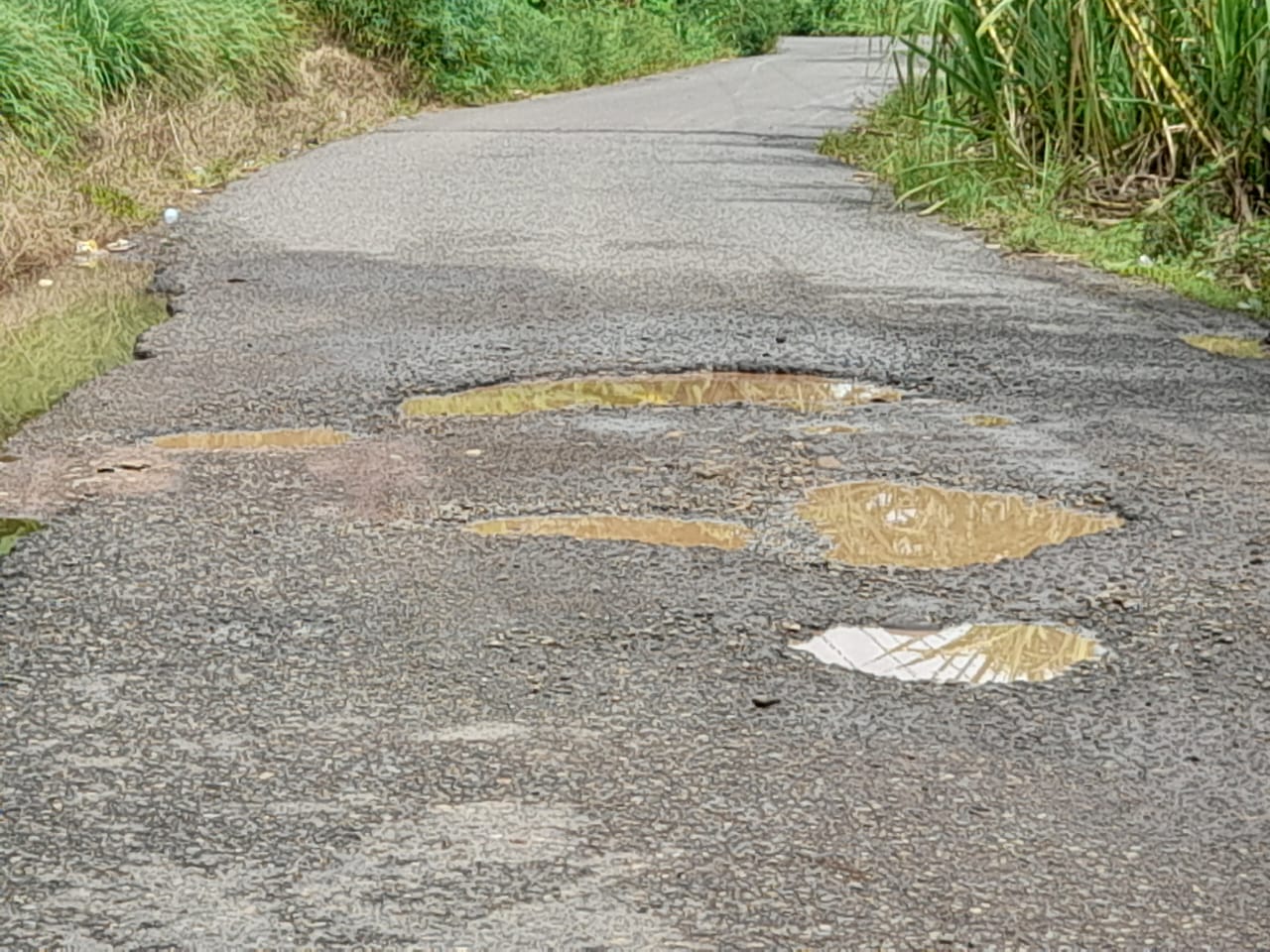 Jalan Menuju Kabupaten Banyak Berlubang, Pengguna Jalan mulai Susa Berharap Bupati Ogan ilir Dinas PUPR Membangun jalan Tersebut