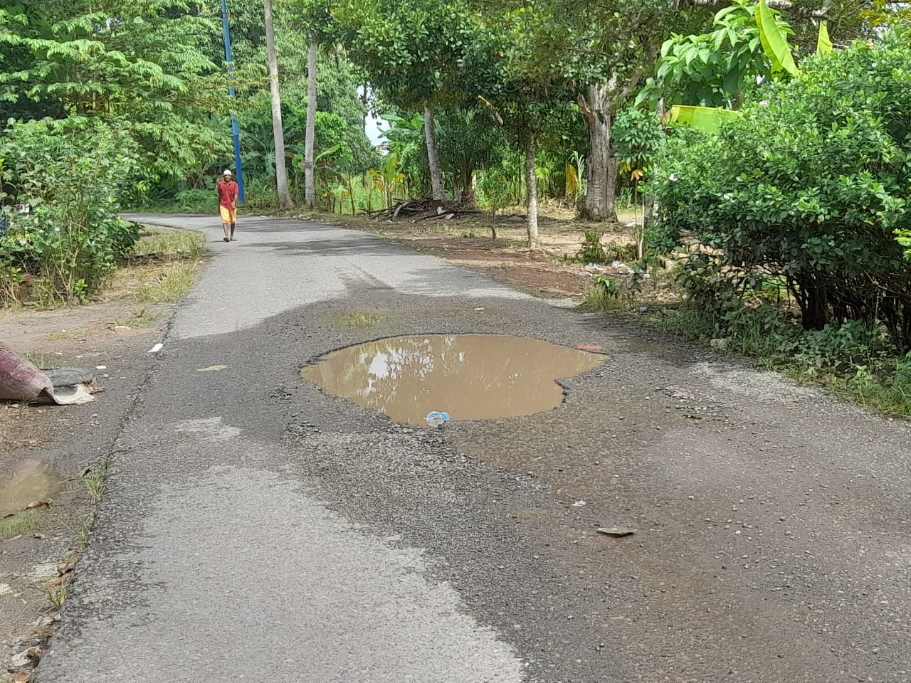 Jalan Menuju Kabupaten Banyak Berlubang, Pengguna Jalan mulai Susa Berharap Bupati Ogan ilir Dinas PUPR Membangun jalan Tersebut