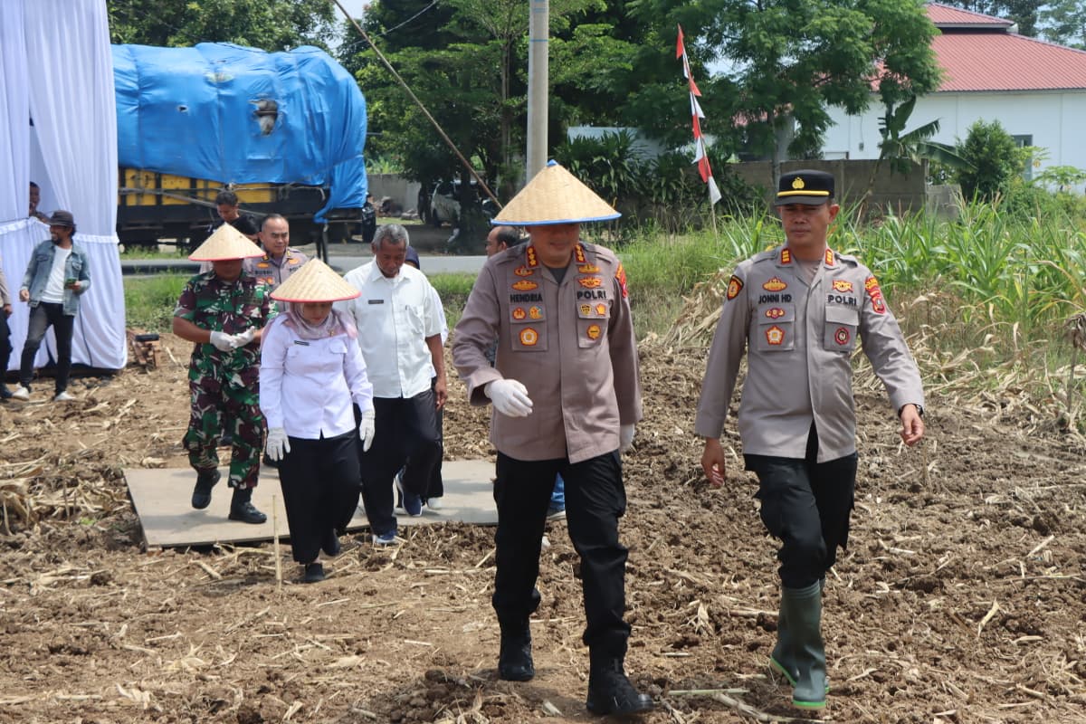 Polresta Deli Serdang Gelar Giat Penanaman Jagung Serentak Kuartal IV Guna Tingkatkan Swasembada Pangan Polresta Deli Serdang Gelar Giat Penanaman Jagung Serentak Kuartal IV Guna Tingkatkan Swasembada Pangan