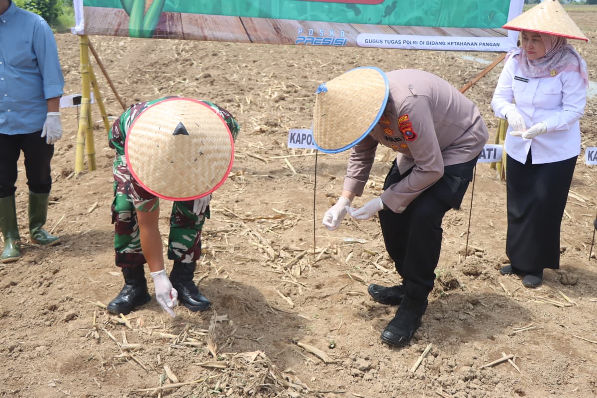 Polresta Deli Serdang Gelar Giat Penanaman Jagung Serentak Kuartal IV Guna Tingkatkan Swasembada Pangan Polresta Deli Serdang Gelar Giat Penanaman Jagung Serentak Kuartal IV Guna Tingkatkan Swasembada Pangan