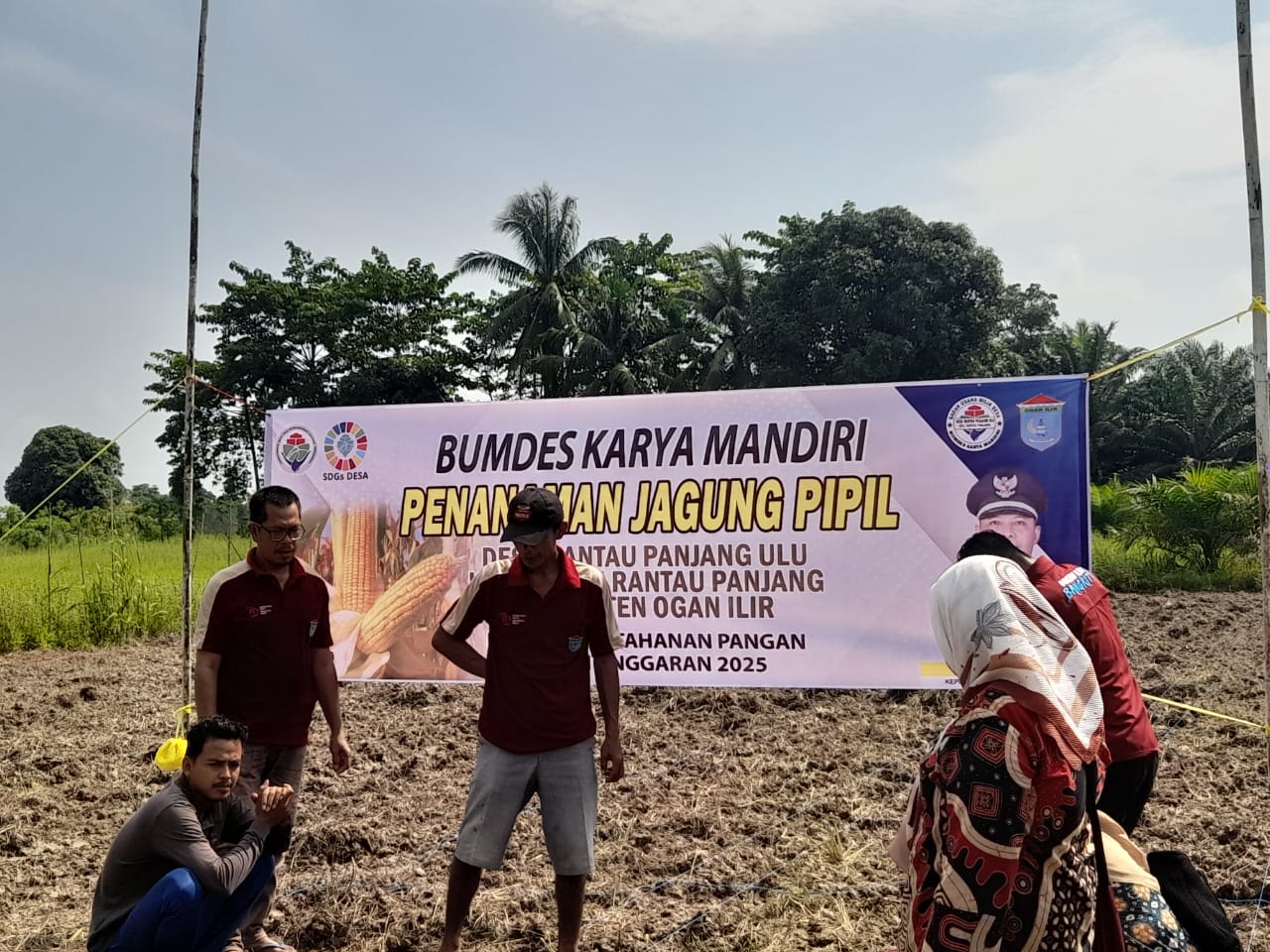 Pemdes Rantau Panjang Ulu Polsek Tanjung Dukung Program Ketahanan Pangan Melalui Penanaman Jagung di Ogan Ilir
