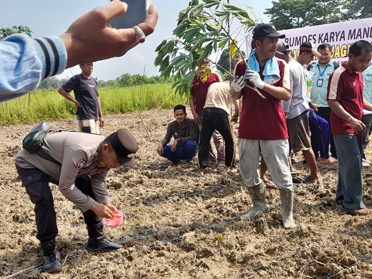 Pemdes Rantau Panjang Ulu Polsek Tanjung Dukung Program Ketahanan Pangan Melalui Penanaman Jagung di Ogan Ilir