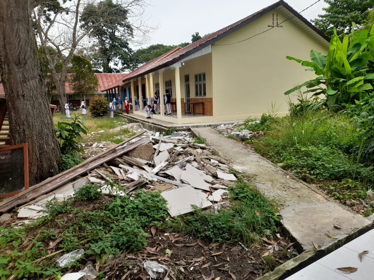 Kepsek Klarifikasi Soal Hamparan Halaman dan Lingkungan SMPN 1 Rantau Panjang Penuh Sampa Semak dengan Rumput